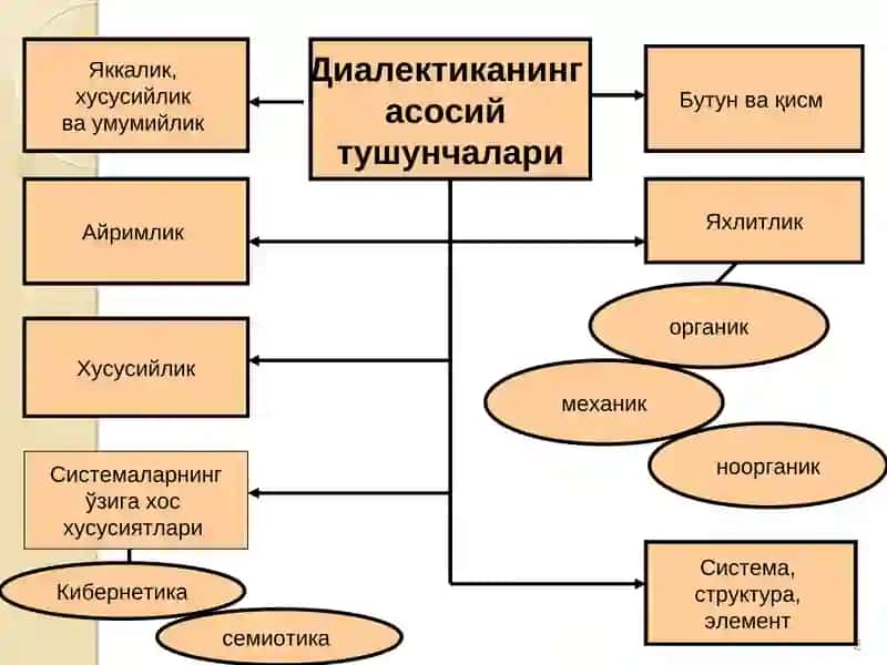 Ўзаро алоқадорлик ва ривожланиш қонунлари 3