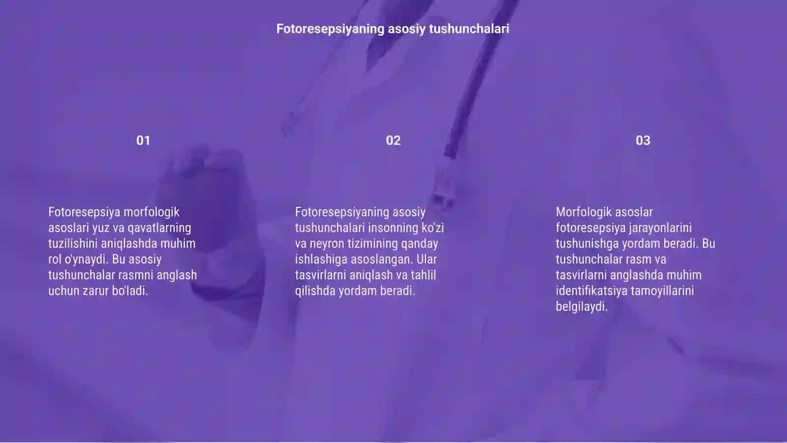 Fotoresepsiyaning morfologik asoslari 3