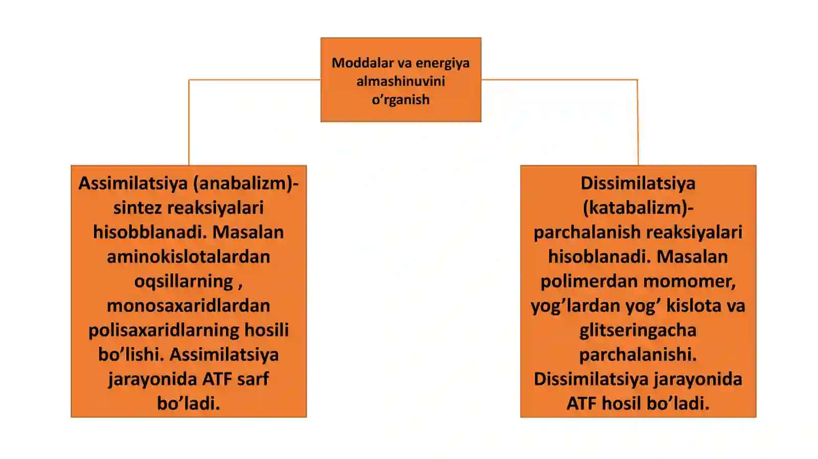 fizologiya glossariy 3