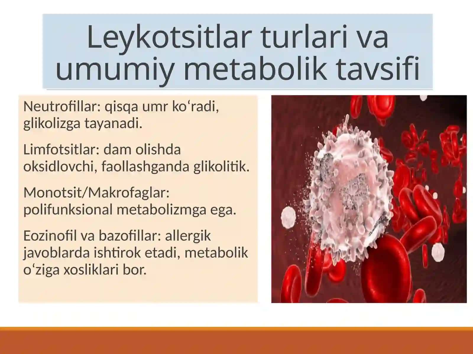 Leykotsitlar metabolizmi xususiyatlari 3