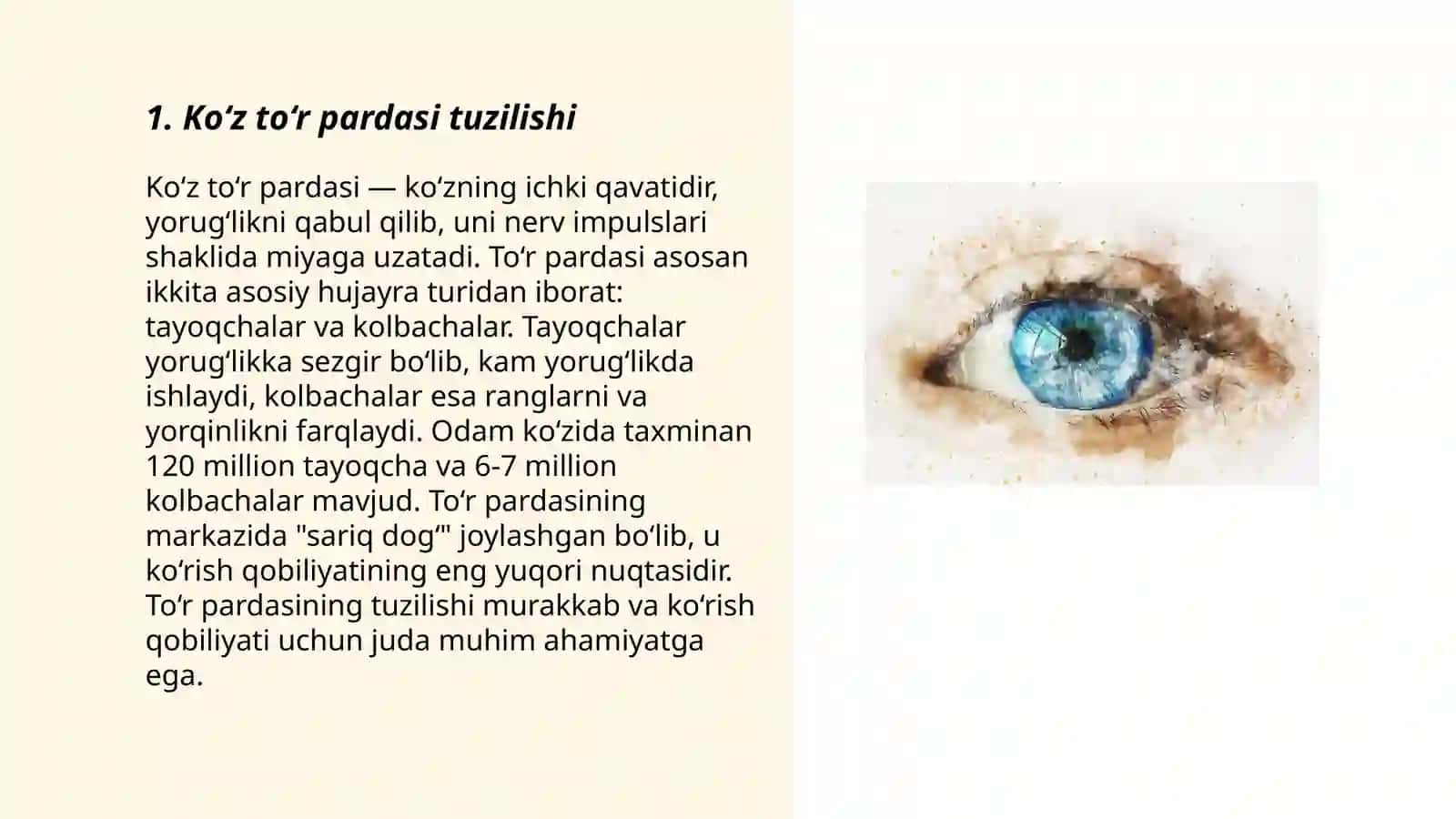 Ko‘z to‘r pardasi degenerativ kasalliklari 3