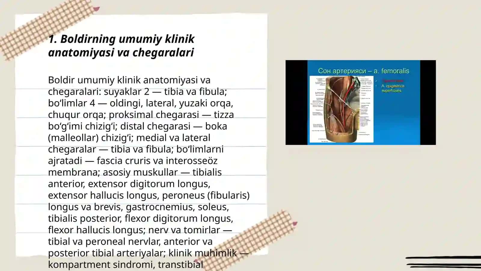 Oyoq klinik anatomiyasi va operativ jarrohligi 3