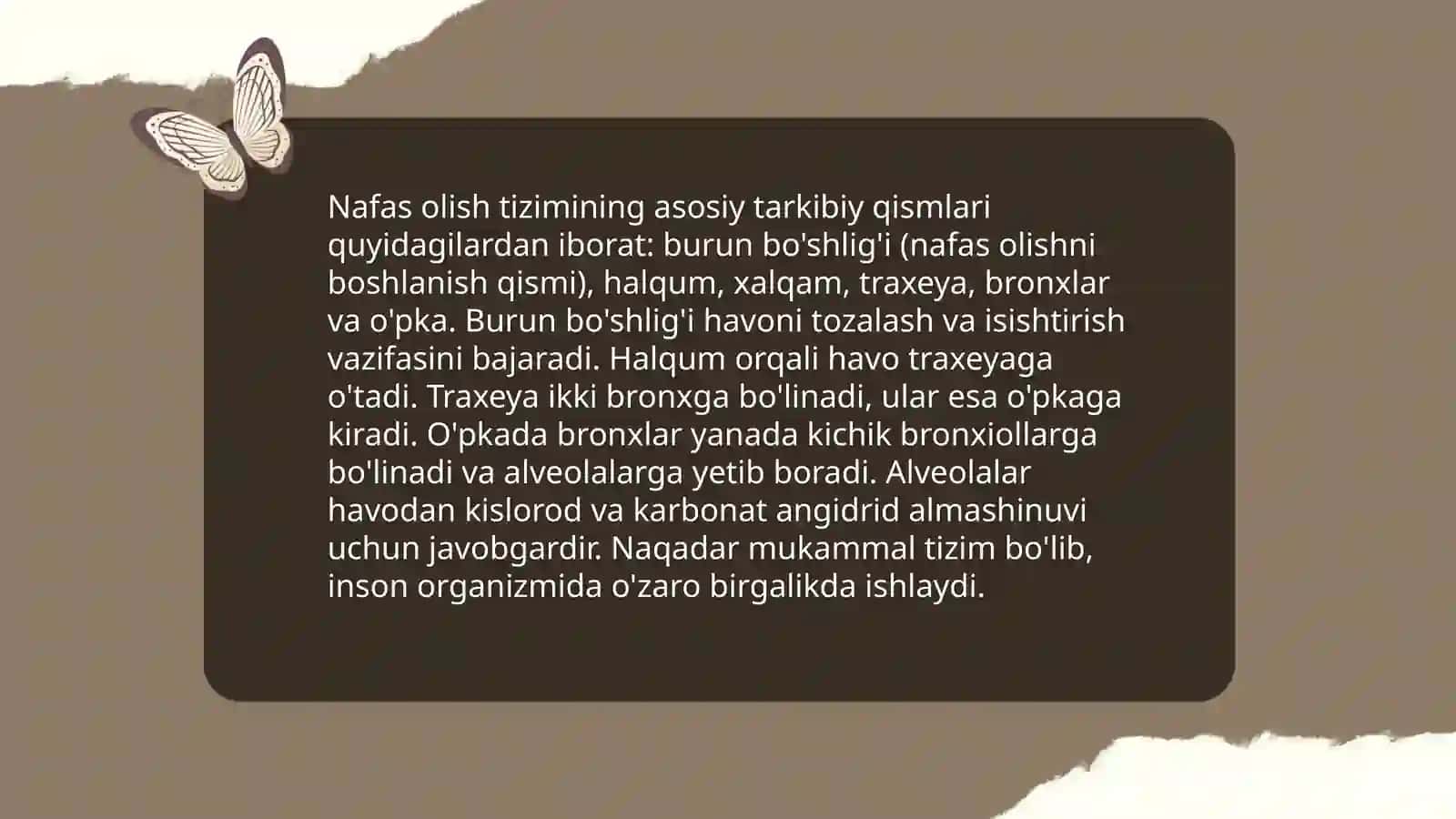 Nafas olish tizimining tuzilish 3