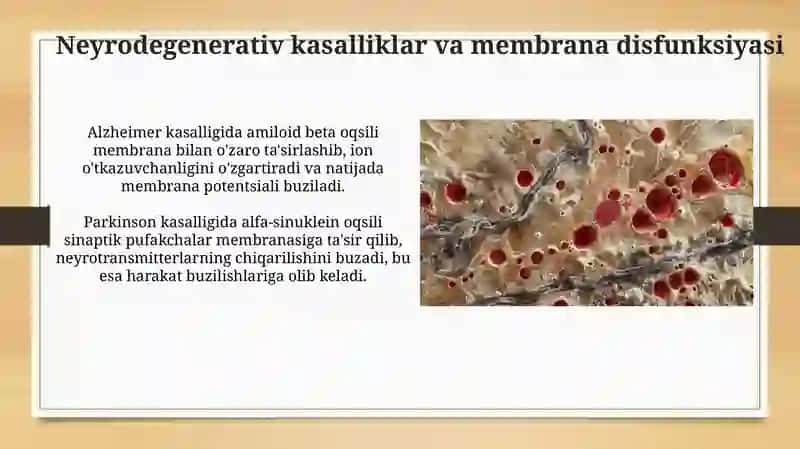 Membranalar bilan bog'liq kasalliklar 3