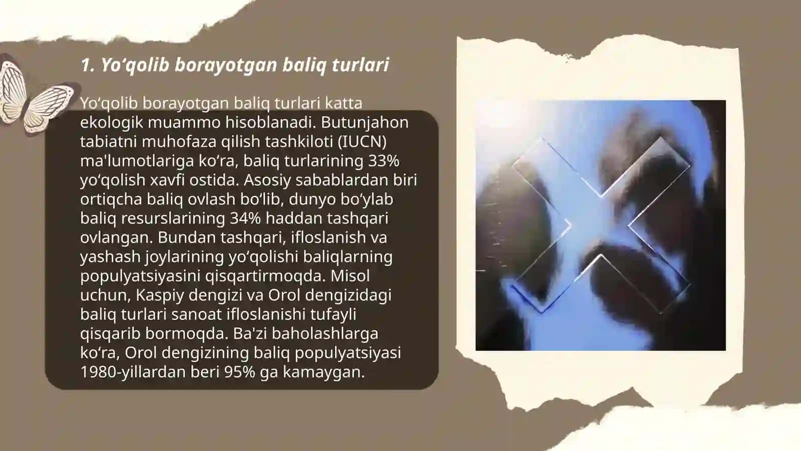 Yoʻqolib borayotgan baliqlar 3