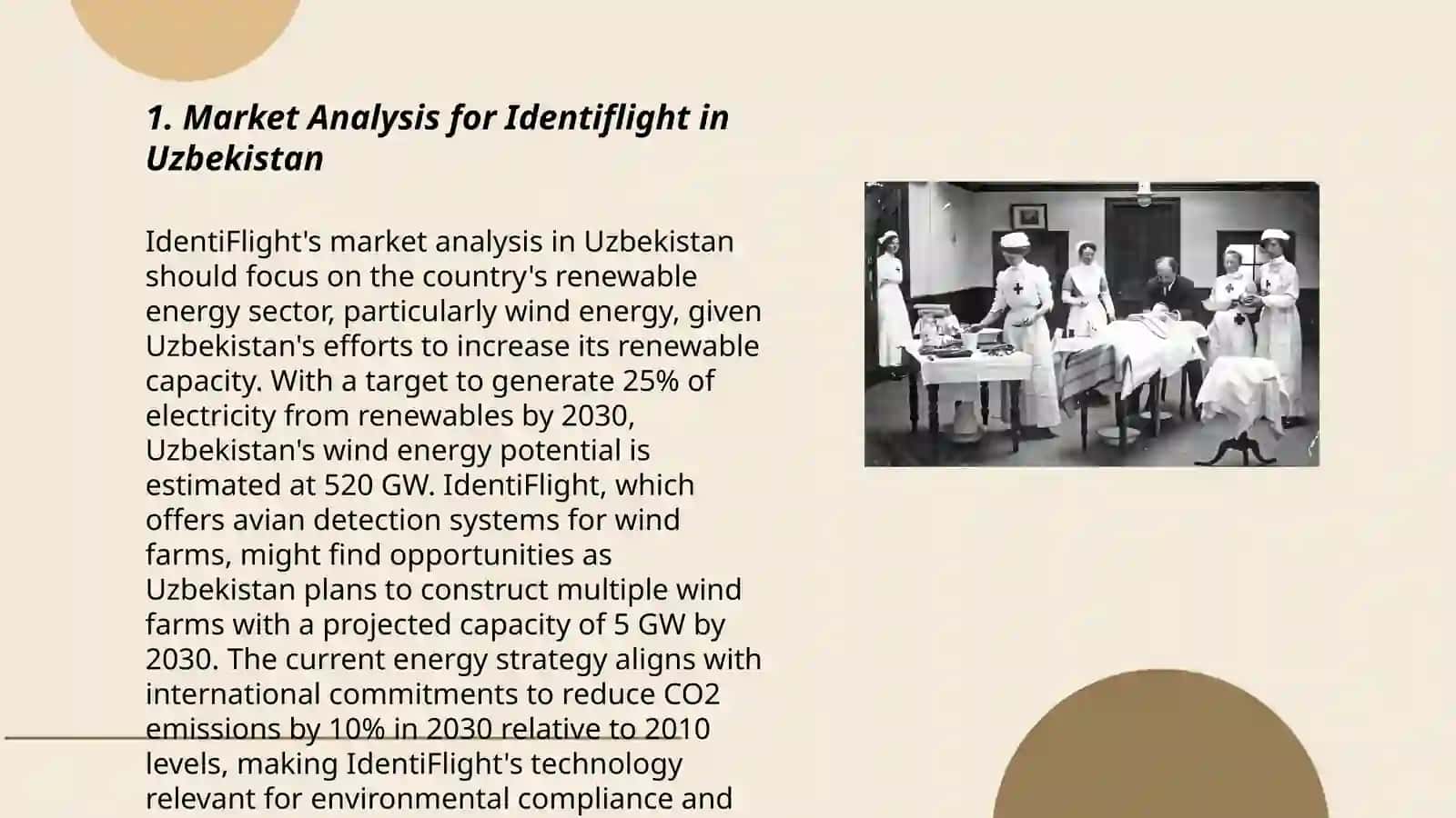 Identiflight Company Analysis in Uzbekistan 3