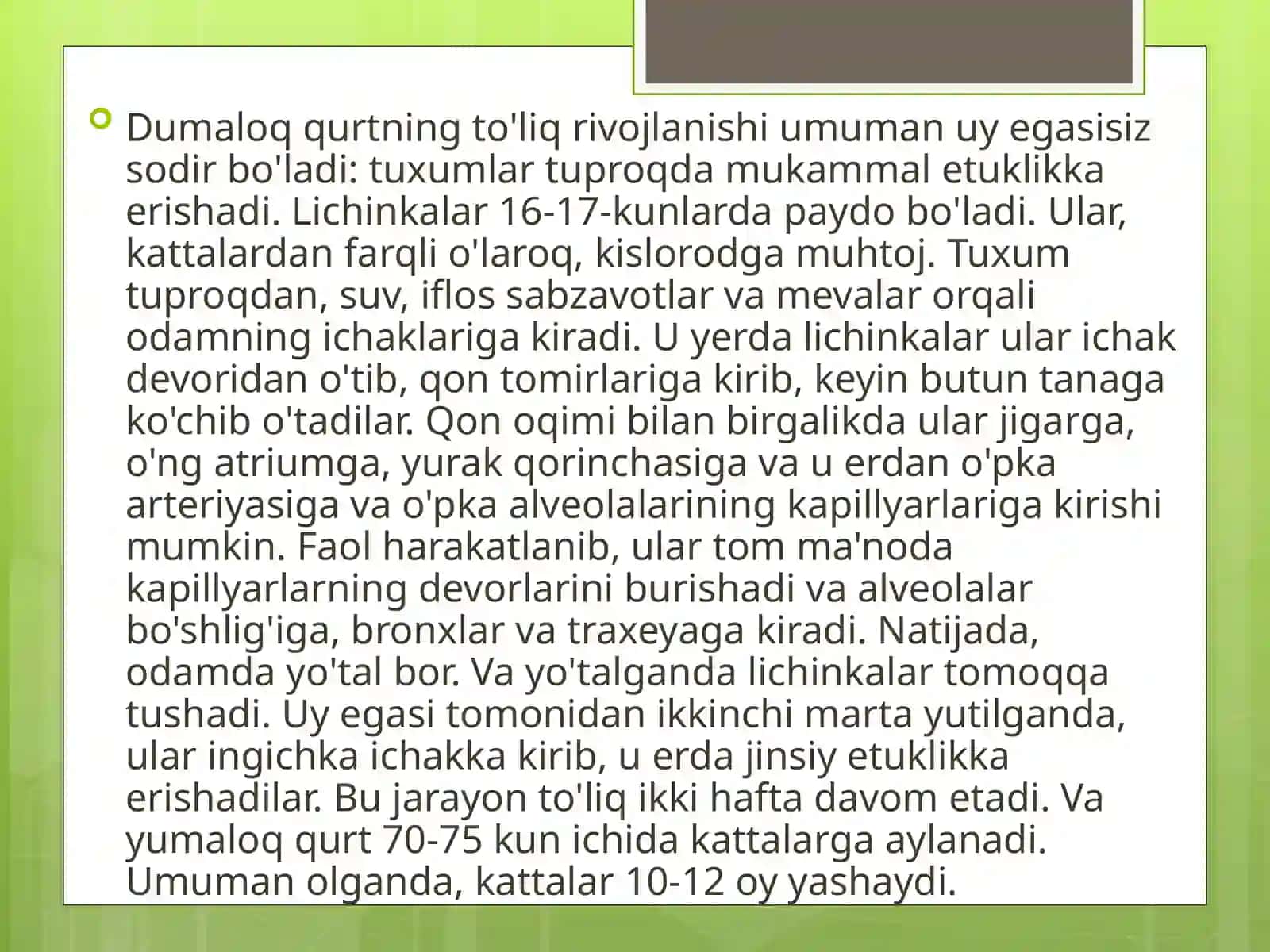 Dumaloq qurt 3