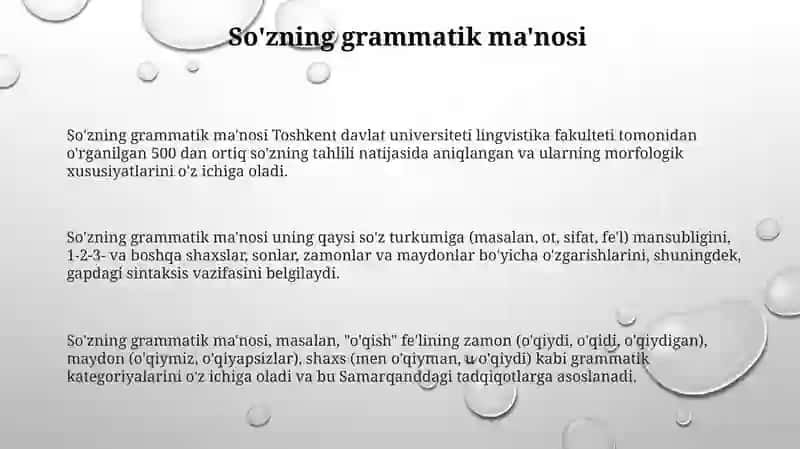 Soʻzning grammatik va leksik ma'nosi 3