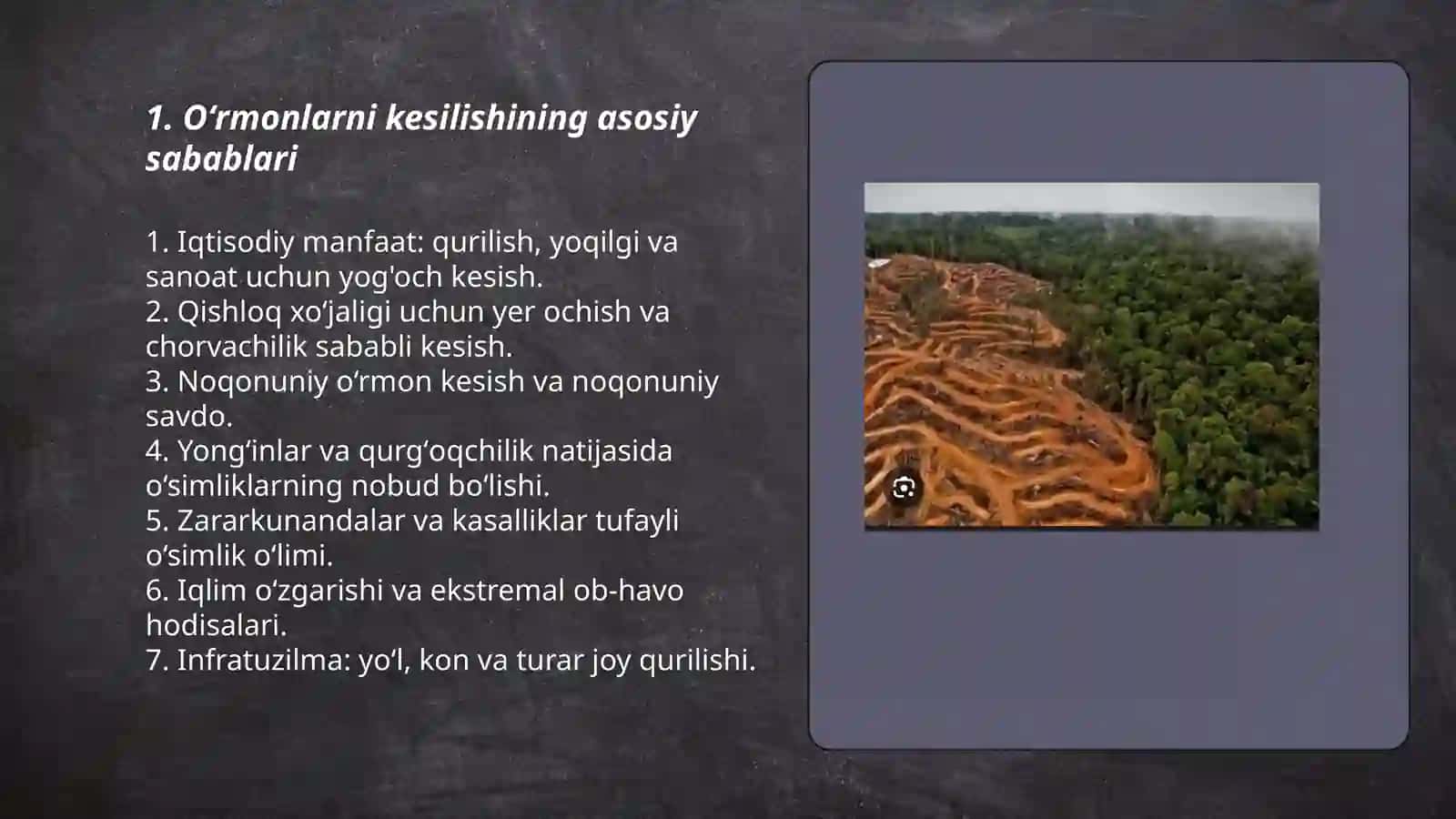 Oʻrmonlarni kesillishi 3