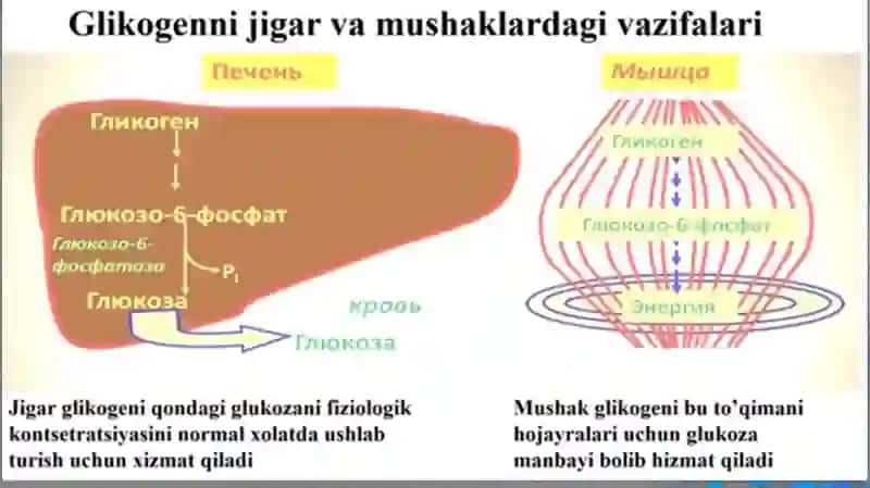 Glikogenozlar, Girke kasalligi, Pompe kasalligi 3