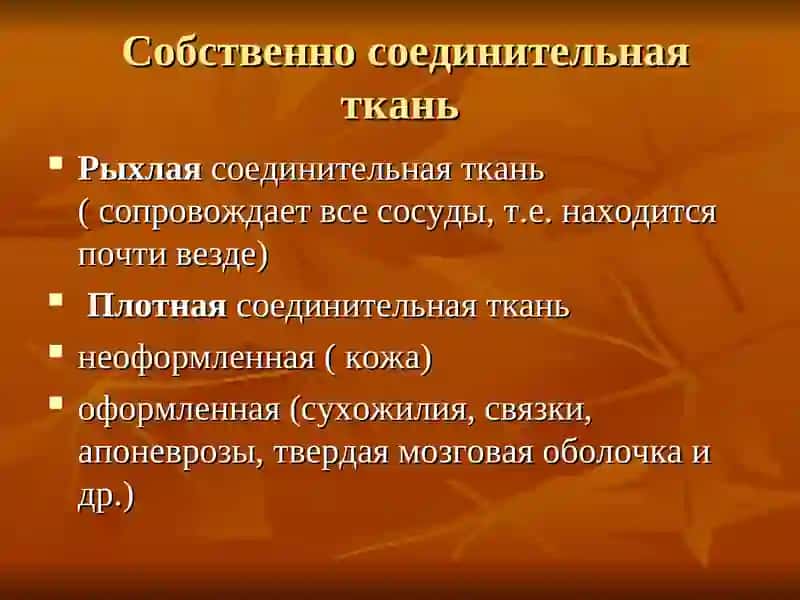 Дисплазия соединительной ткани у детей 3