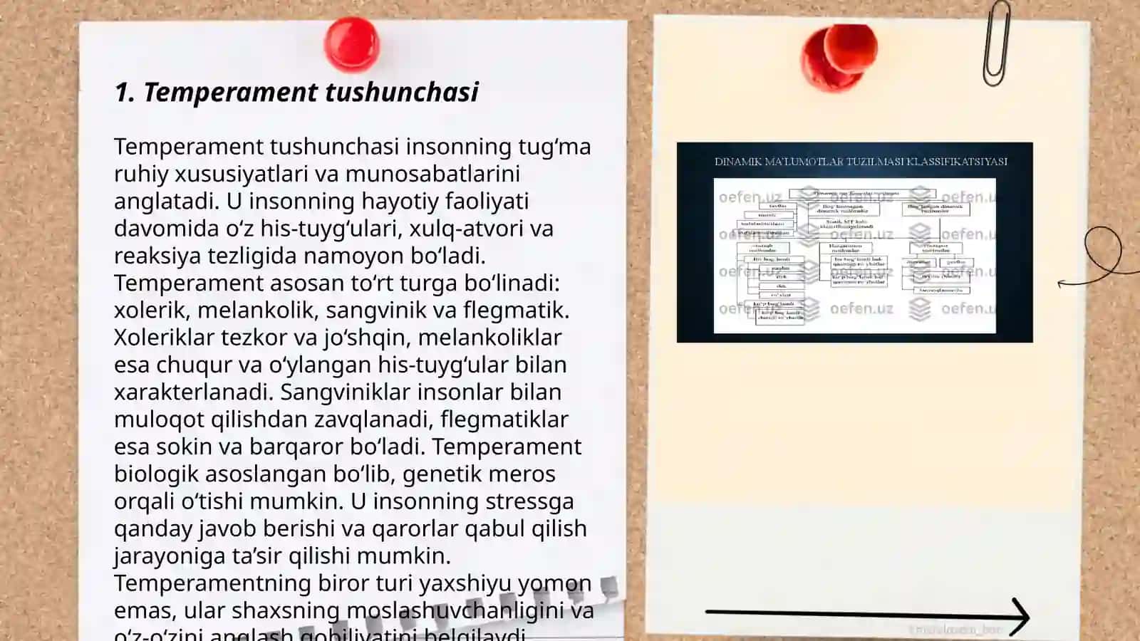 Temperament- shaxs tuzilmasi sifatida 3
