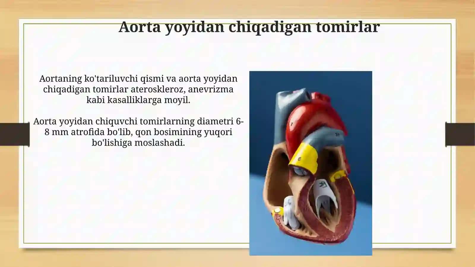 Aorta,aorta ravogi,umumiy va tashqi uyqu arteriyasi 3