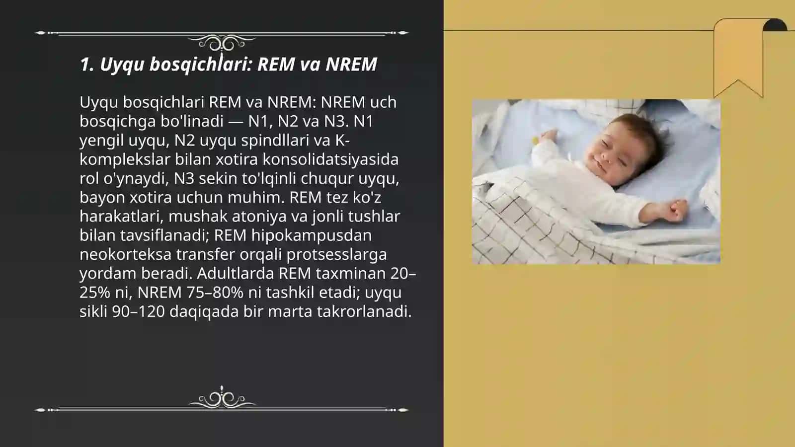 Uyqu, xotira va tush ko'rish 3
