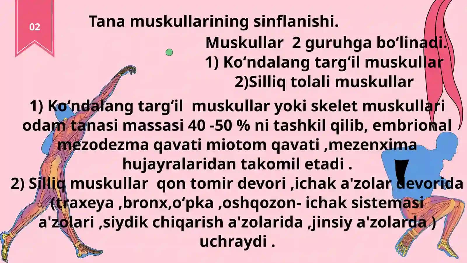 Tana muskullarining sinflanishi. Gavda va bosh 3