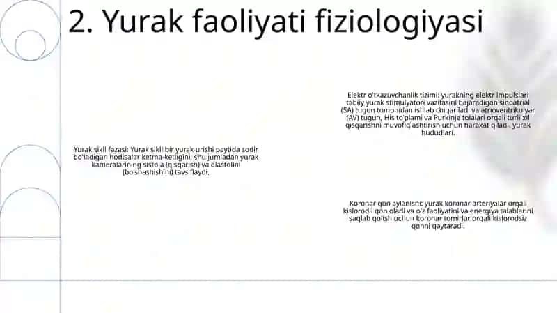 Yurak 3
