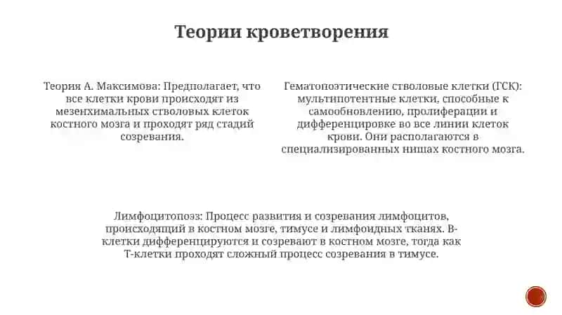 Теории Кроветворения 3