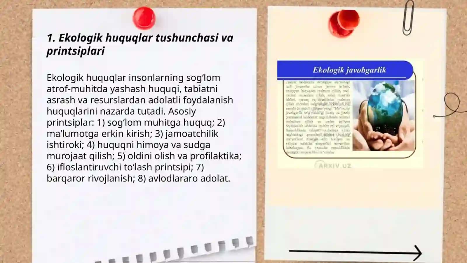 Ekologik huquqlar 3