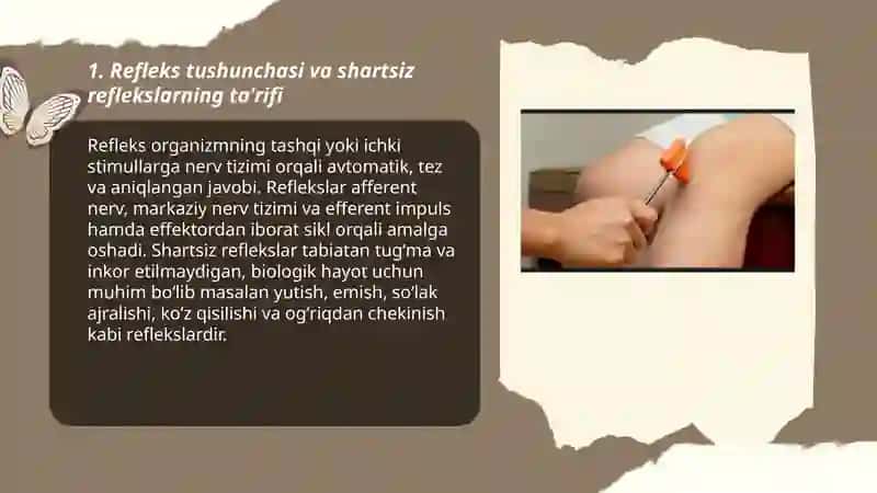 Refleks. Turli shartsiz reflekslarni kuzatish 3