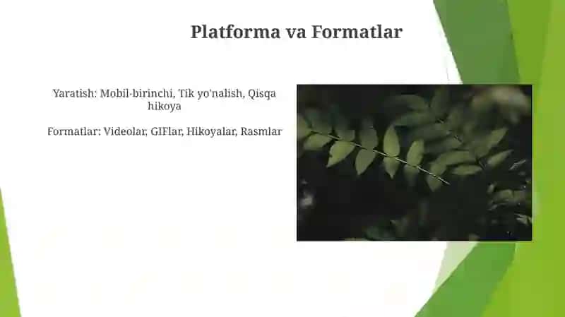 Qisqa matrajli vizual media mahsulot yaratish 3