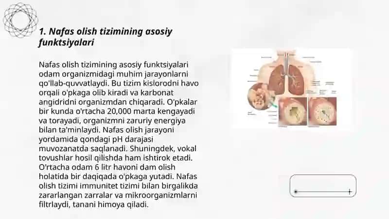 Nafas olish sistemasining fizikasi 3
