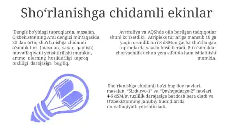 Shoʻrlanishga chidamli ekinlar 3