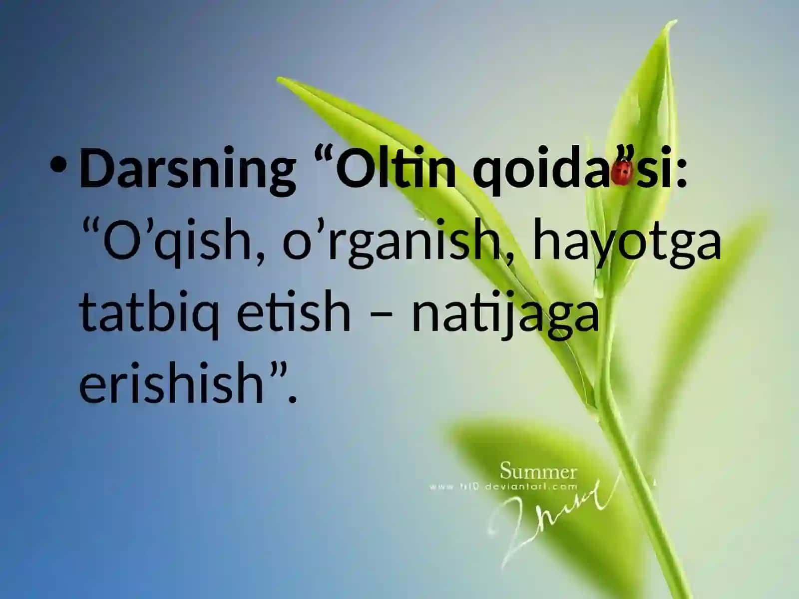 GULLI 0`SIMLIKLAR BILAN UMUMIY TANISHISH 3