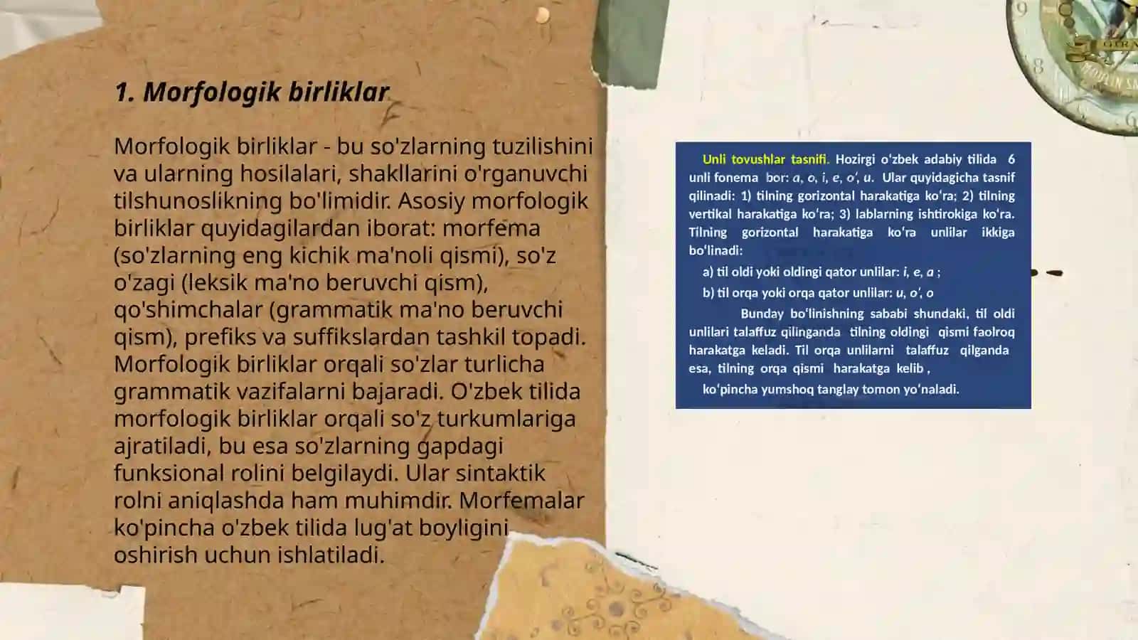 Tillarning morfologik tasnifi 3