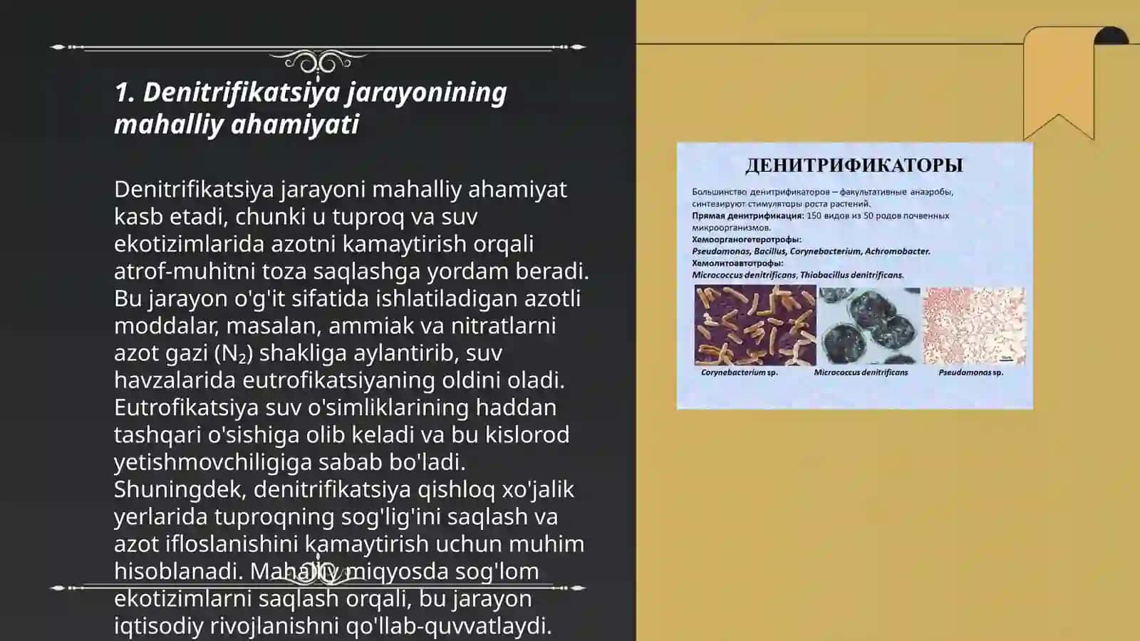 Denitrifikatsiya jarayoni 3