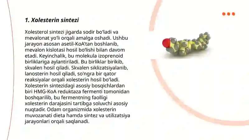 Xolesterin metabolizmi 3