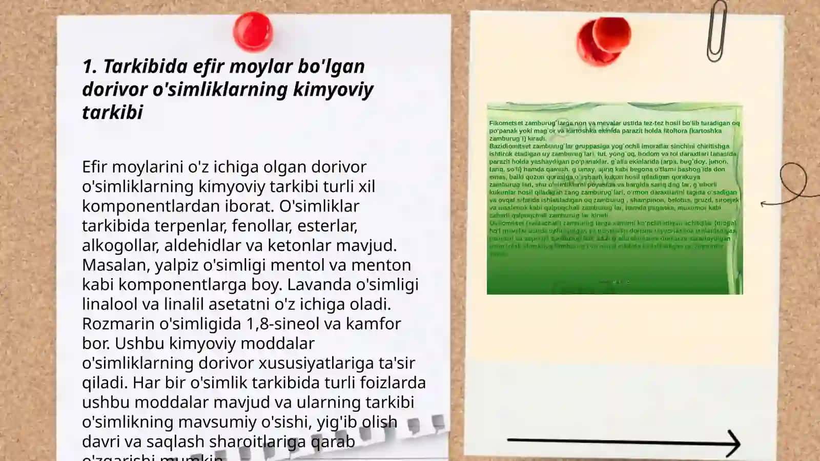 Dorivor O'simliklar Tarkibi 3