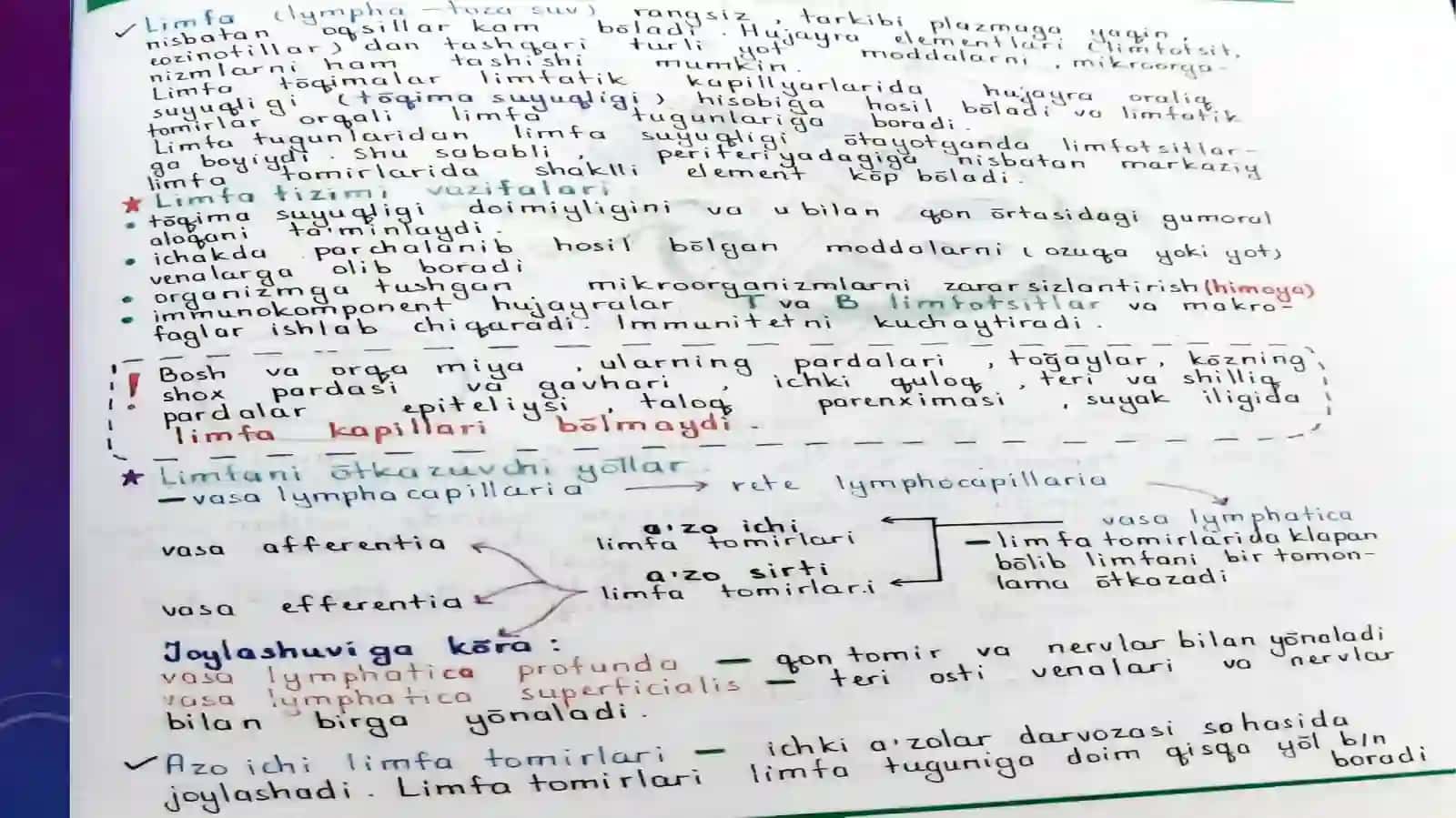 Limfa sistemasi 3