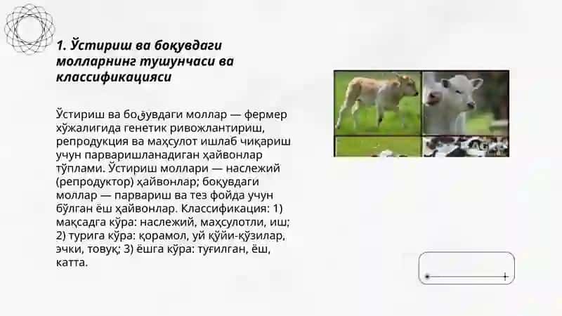 Ўстириш ва боқувдаги молларнинг ҳисоби 3