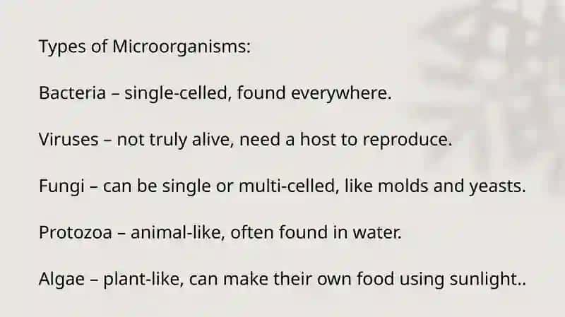 Microorganisms and Microbiology 3