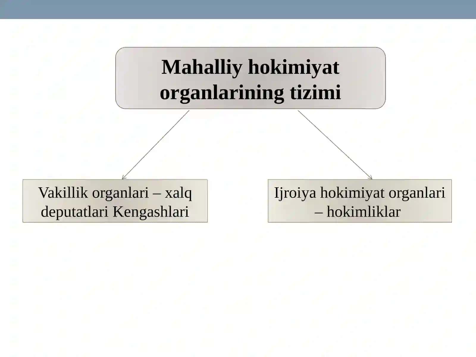 MAHALLIY DAVLAT HOKIMIYATI 3