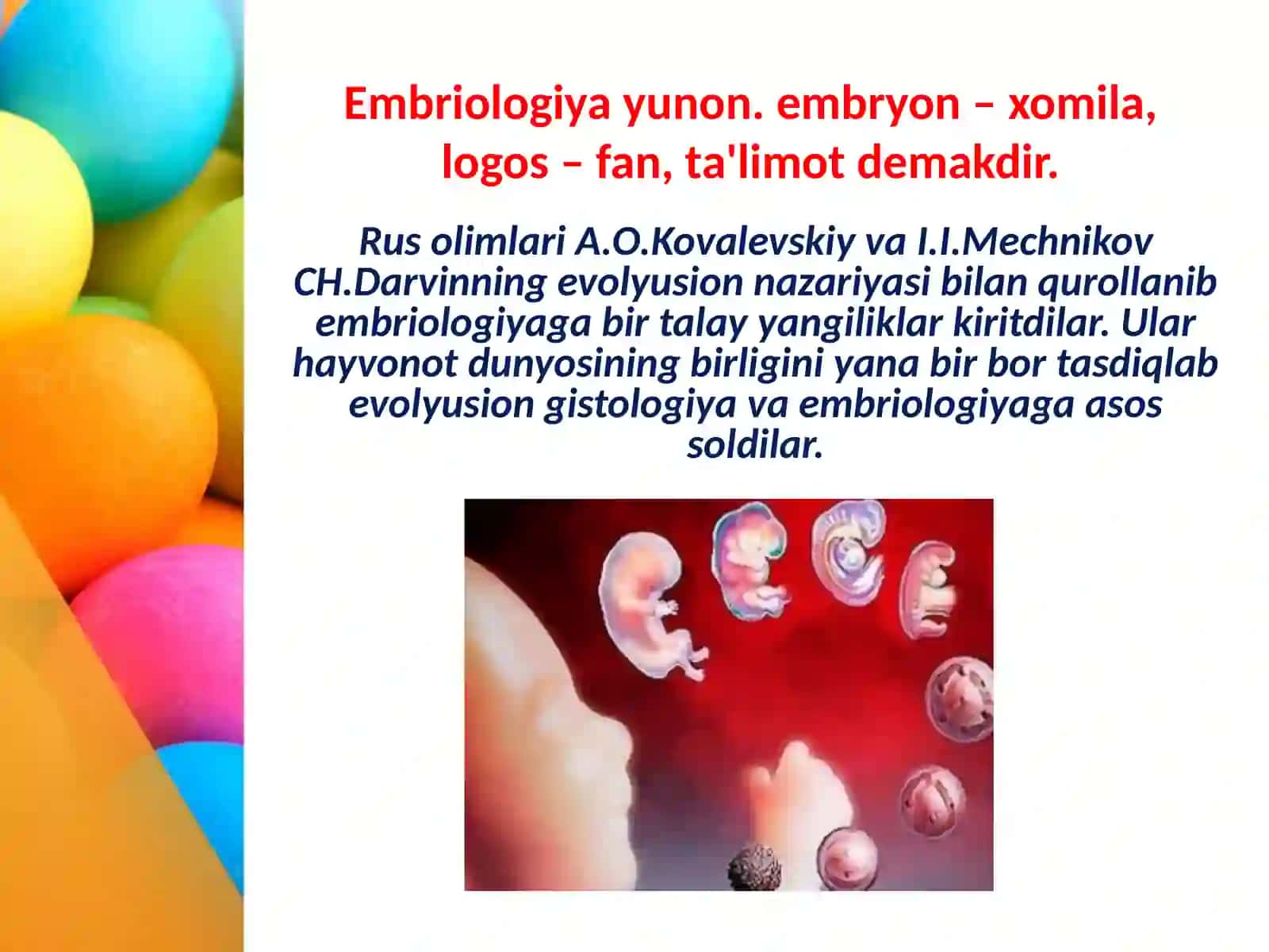 Embrional rivojlanishning umumiy qonuniyatlari 3