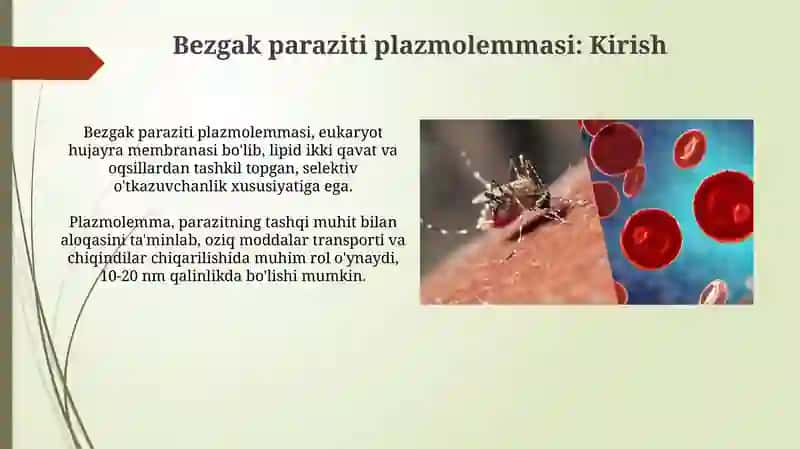 Bezgak paraziti plazmolemmasi 3