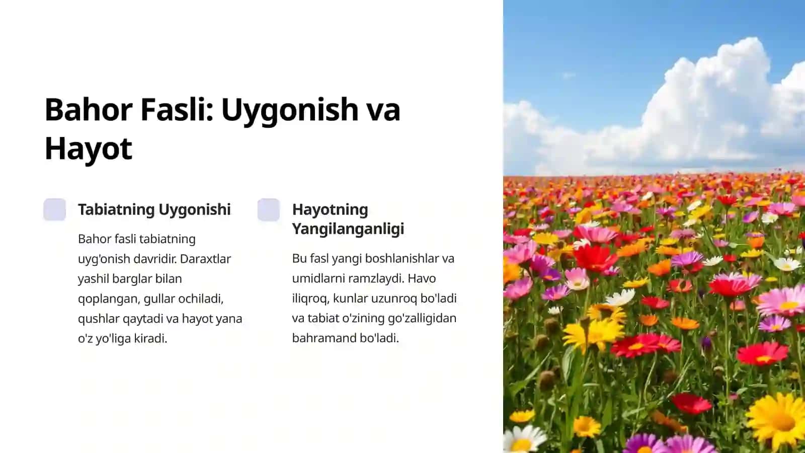Qish Fasli: Sovuq va Tinchlik 3