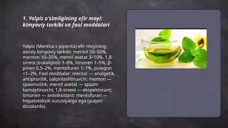 Yalpiz oʻsimligining dorivor xususiyatlari 3