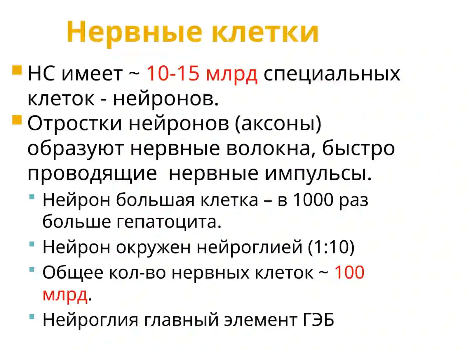 Биохимия нервной системы 3