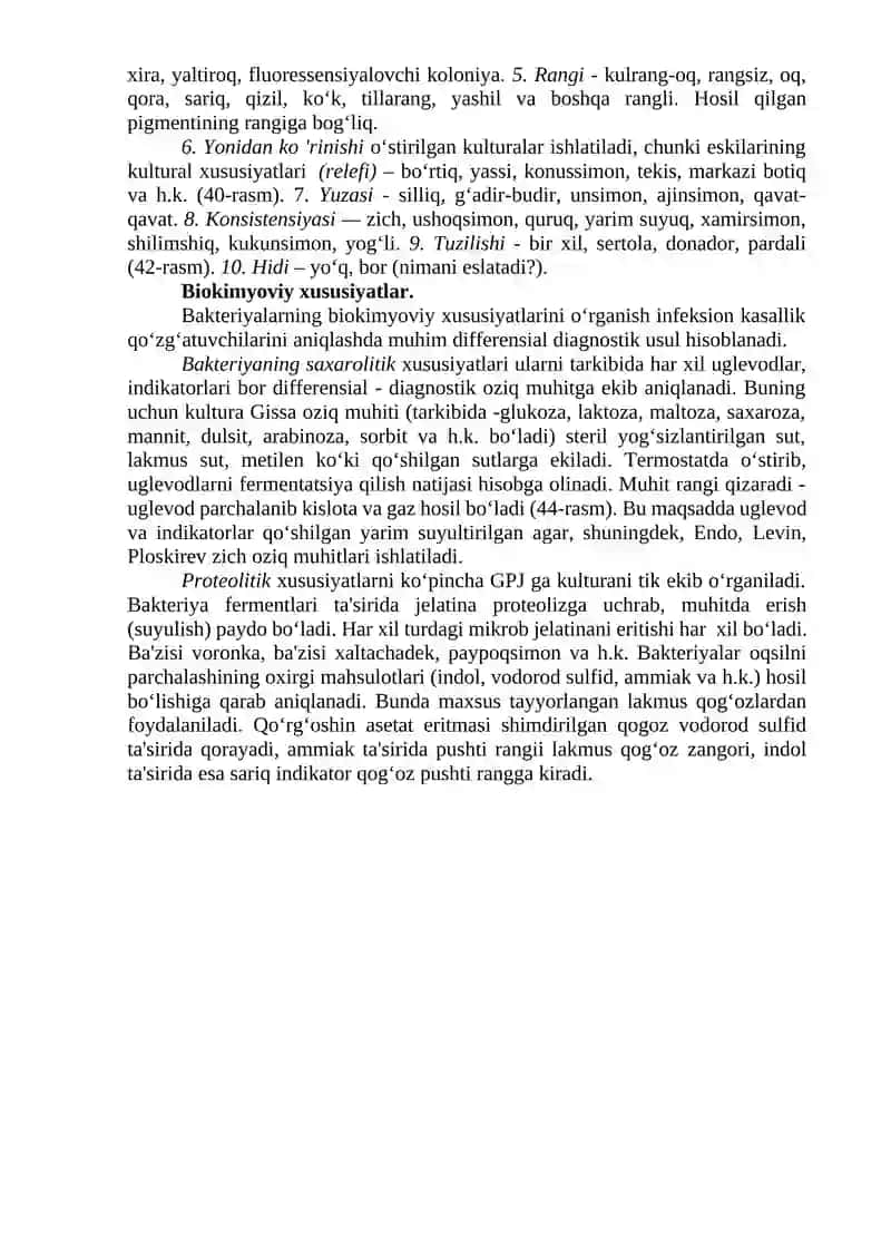 Bakteriyalar morfologiyasini o‘rganish 3