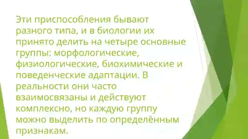 Самостоятельная работа 1 3