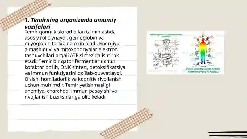 Temirning organizmdagi ahamiyati 3