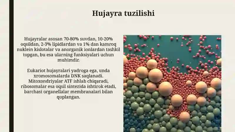 Hujayra tuzilishi 3