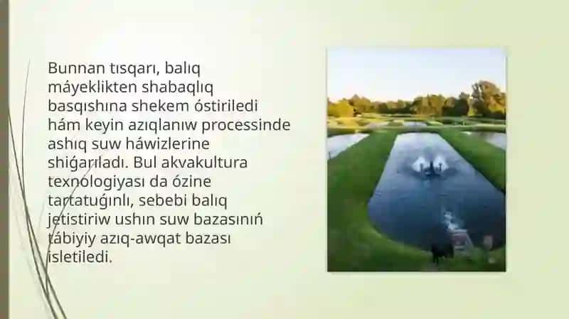 Jaylawak vakulturası balıq jetistiriw 3
