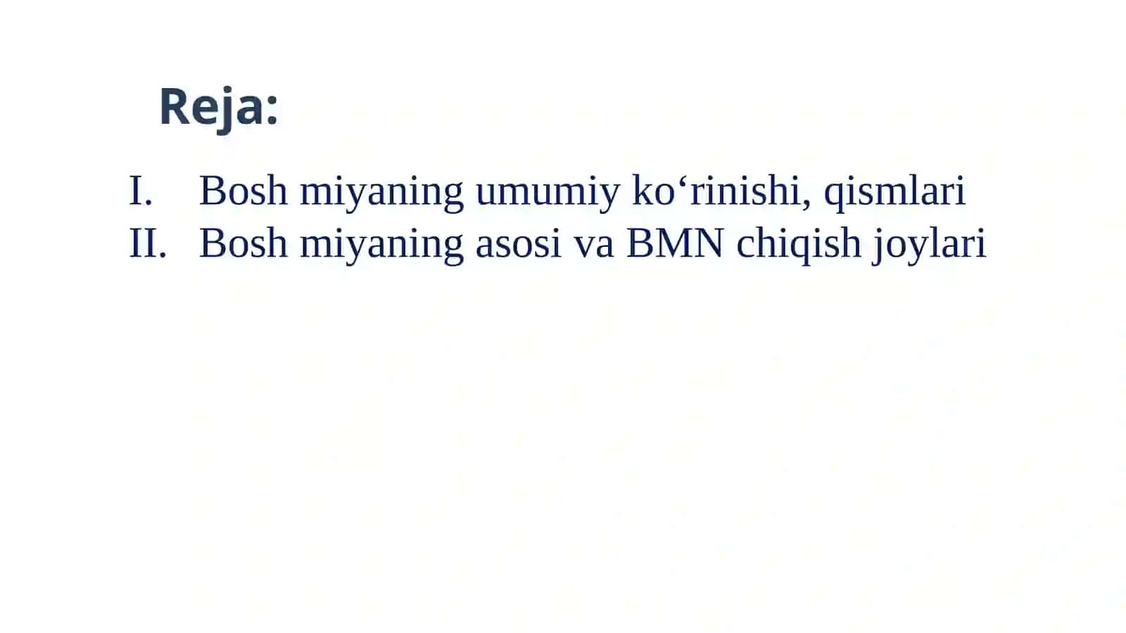 Boshmiyaning umumiy koʻrinishi 3