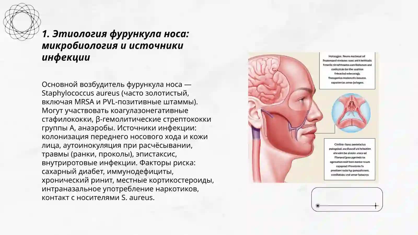 Фурункул носа этиология патогенез 3