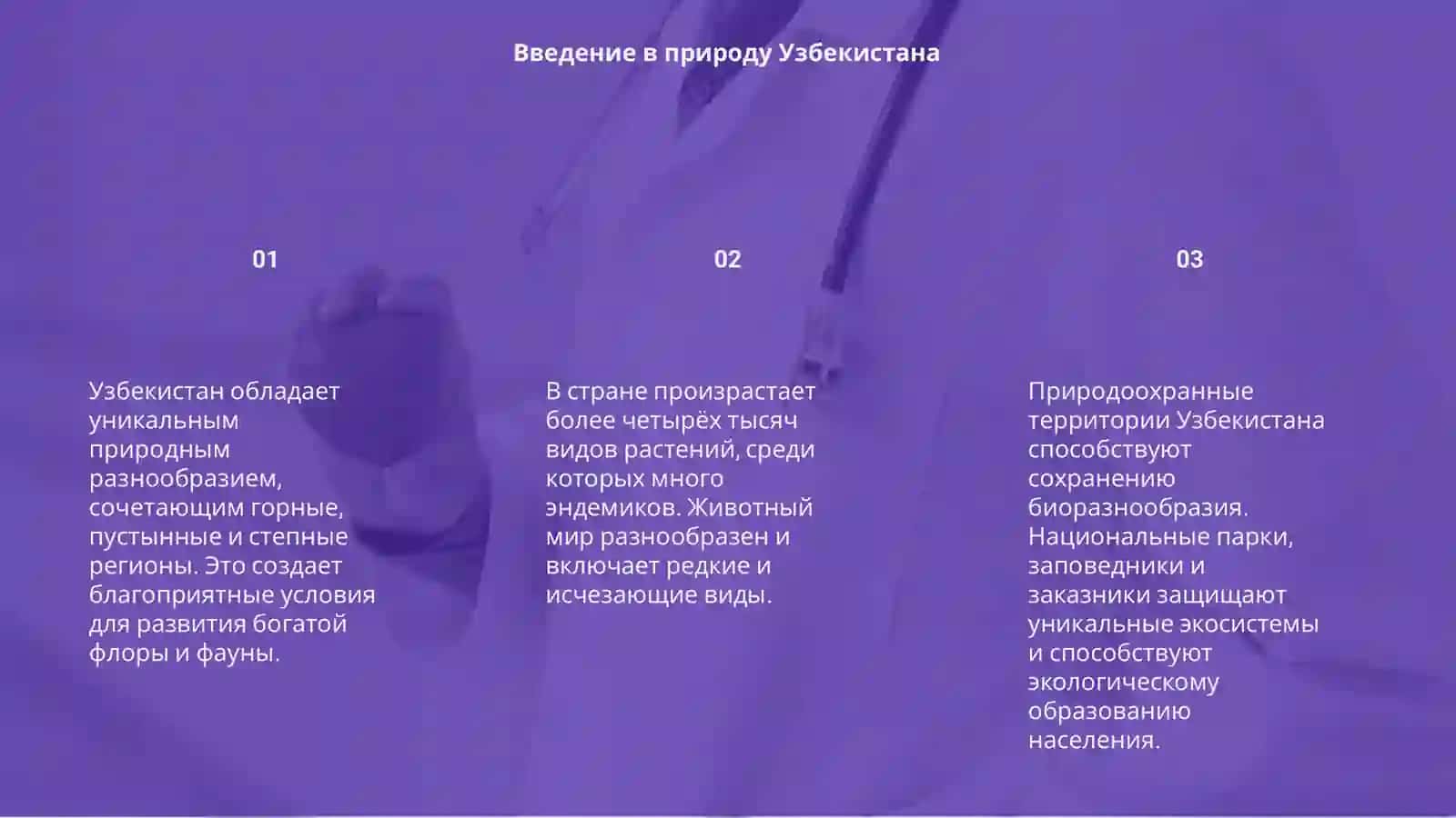 Флора и фауна Узбекистана 3