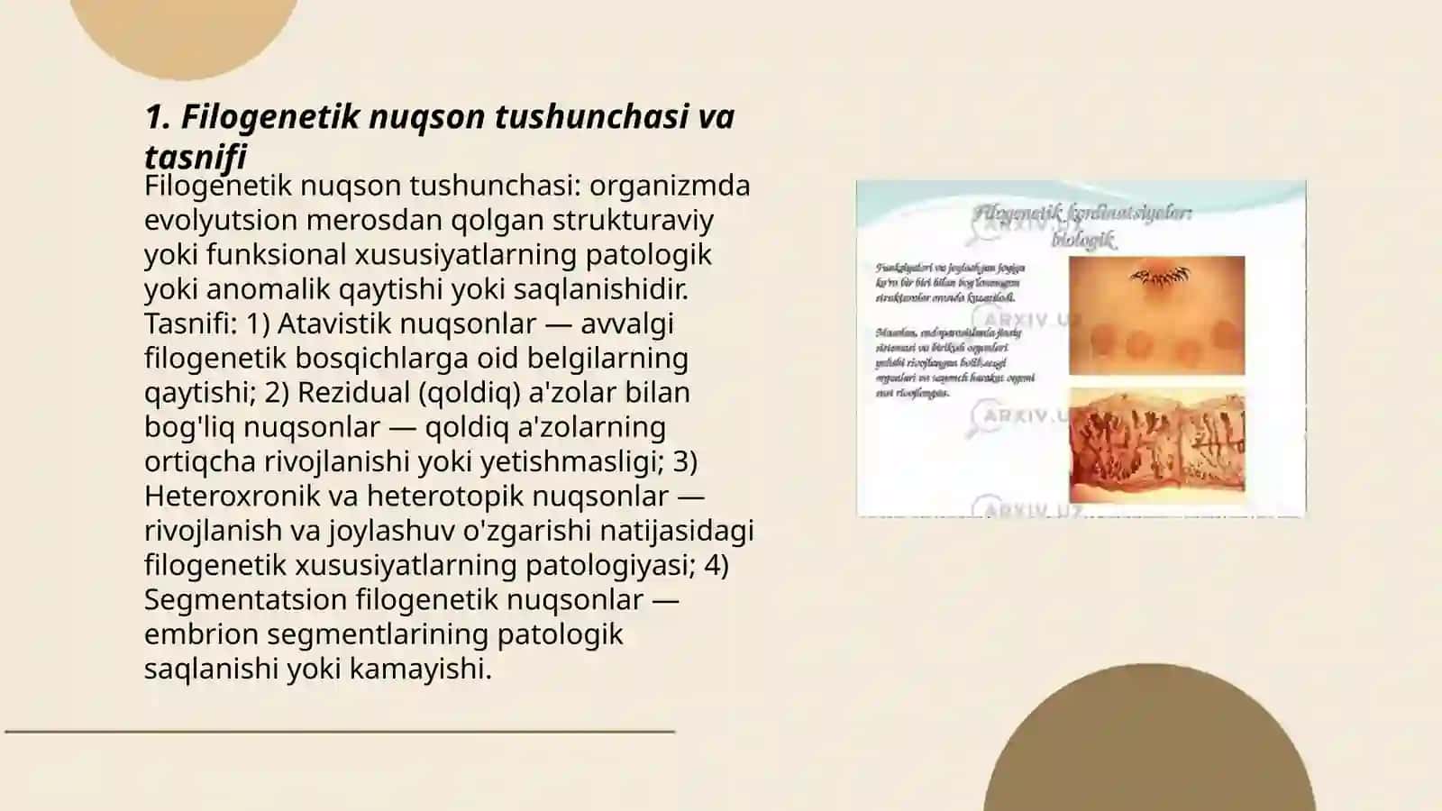 Odam rivojlanishining filogenetik nuqsonlari 3