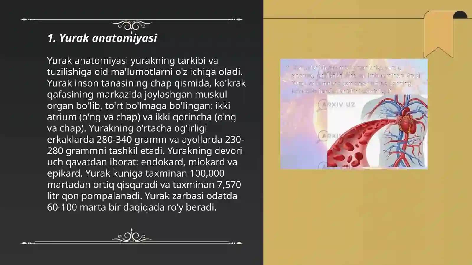 Yurak anatomiyasi 3